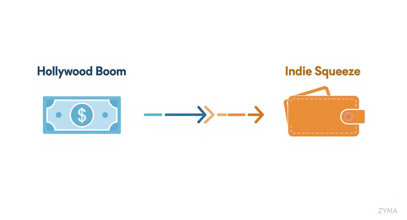 Infographic about budgeting for a film