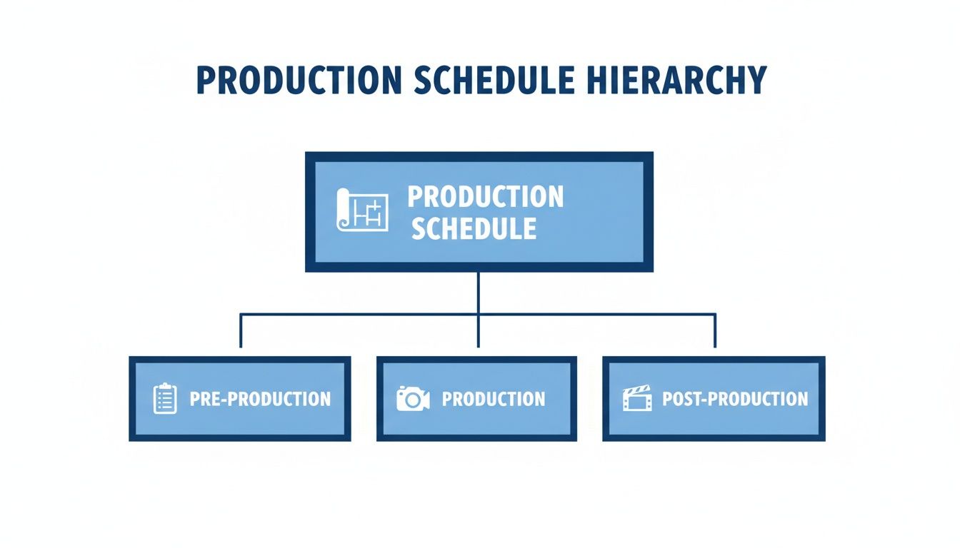 A diagram illustrating the production schedule hierarchy, breaking it down into pre-production, production, and post-production phases.